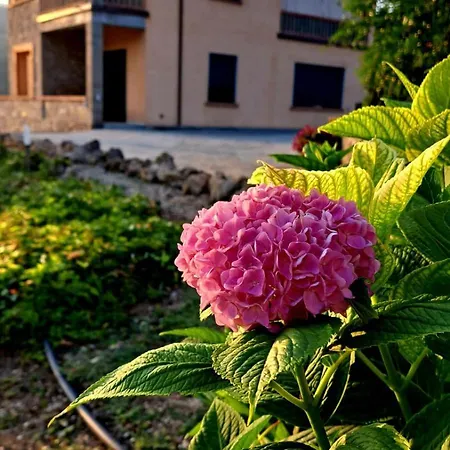 Oda ve Kahvaltı Costanza