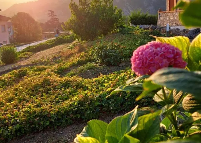 Costanza Oda ve Kahvaltı