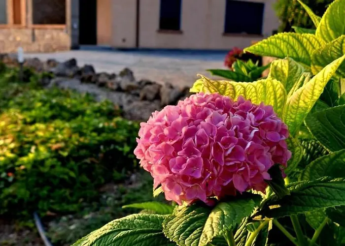 Oda ve Kahvaltı Costanza