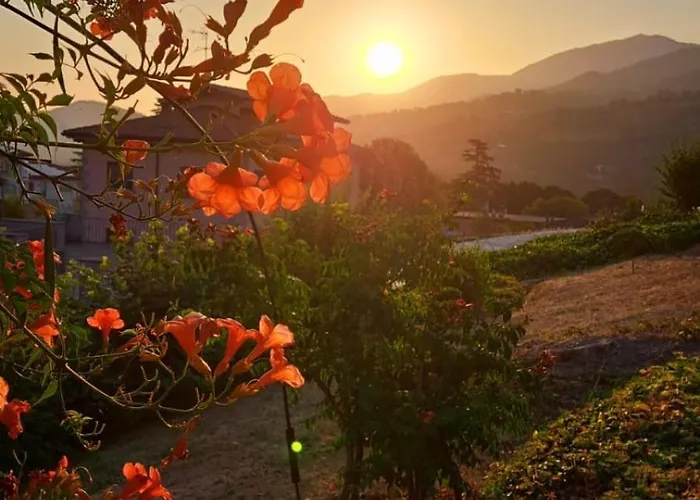 Costanza Oda ve Kahvaltı 4*