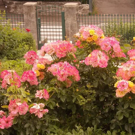 Costanza Bed & Breakfast Bobbio