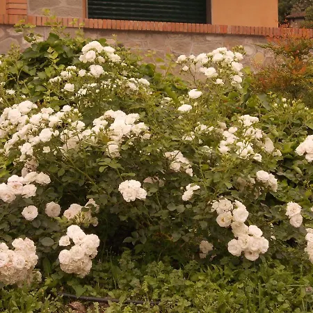 住宿加早餐酒店 Costanza 4*