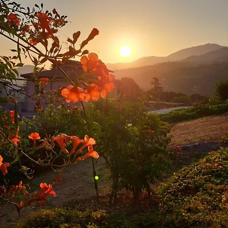Costanza Bed & Breakfast 4*