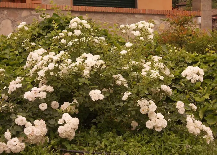 Frühstückspension Costanza 4*